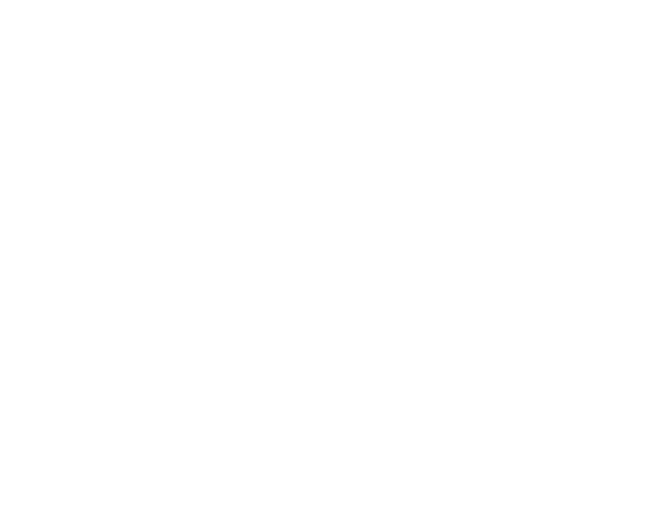 Saunas & Ice logo